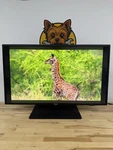 Viewsonic Vx4381-4k 43'' Uhd Mva 4k Widescreen Lcd Monitor. Fixed Price $279.99.