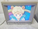 Vintage Apple A2m6021 Applecolor Composite 13" Crt Iie Computer Monitor 1992. Fixed Price $249.99.