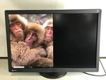 Eizo Radiforce Rx650 6mp 30" Color Led General Radiology Pacs Display. Fixed Price $1099.00.