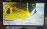 Lg 24mp58vq - P 24" Gaming Computer Monitor W/stand #1. Fixed Price $74.99.