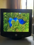 Dell P1130 21 Inch Crt Monitor. Fixed Price $2200.00.