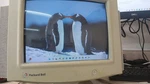 Vintage Packard Bell 1401s 14" Vga Crt Monitor *screen Working* No Speaker Sound. Fixed Price $149.99.