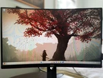 Aoc Gaming 24g2s 24 Frameless Monitor, Full Hd 1920x1080, 165hz 1ms. Fixed Price $110.00.