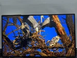 Nec Multisync P495 49" 4k Commercial Digital Signage Hdr Display Monitor 700nit. Fixed Price $499.99.