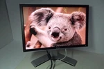 Dell 2208wfp Ultrasharp 22" Lcd Monitor W/4-port Usb Hub 2208wfpt Dvi Vga R289d. Fixed Price $129.75.