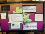 24 Nec Multisync Ea243wm Monitor With Built-in Sound/speakers And Hdmi.. Fixed Price $55.00.