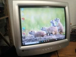 Gateway Ev730 17" Crt Monitor Black Vga. Fixed Price $114.95.