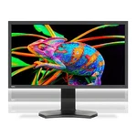 Nec Pa311d-bk-sv 31 Color Critical Display W/ Spectraview Engine. Fixed Price $4999.99.
