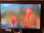 Dell Ultrasharp U2421e 23.8'' Ips Lcd Led Monitor. Fixed Price $99.99.