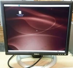 Dell 1703fp Lcd Monitor Vga Dvi Usb Hub. Fixed Price $29.99.