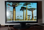 Monitor Lenovo Thinkvision E2054a 19.5" Led Backlit Lcd 1440x900. Fixed Price $39.50.