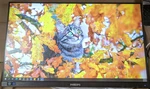 Philips 243b1 24in Class Full Hd Lcd Monitor 60hz. Fixed Price $156.70.