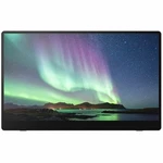Fujitsu Ricoh 15.6" Portable Monitor 150bw. Fixed Price $257.48.