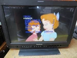Dented Panasonic Bt-lh1700wp 17" Video Production Monitor W/stand As-is. Fixed Price $89.10.