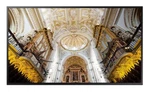 Samsung Qmn Qm75n 75" Digital Signage Display New. Fixed Price $1295.00.