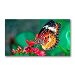 Nec Un462a 46" 4k Ultra-narrow Bezel Professional-grade Video-wall Display. Fixed Price $2499.95.