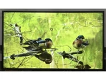 Nec Sharp 50" 4k Uhd Smart Commercial Digital Signage Display Tv Monitor M501-2. Fixed Price $999.99.