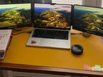 Maxfree - Triple Screen Setup For Portable Gaming And Laptops, 2 14'' Monitors. Fixed Price $79.99.