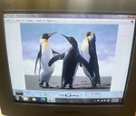 Vintage 17" Philips Crt Monitor 107s 1999 Model#17c2622e Tested And Working. Fixed Price $195.00.