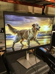Dell U2421e 24" Widescreen Ips Lcd Monitor. Fixed Price $64.00.