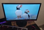 Gaming Monitor - Aoc G2460vq6 1ms Freesync Lcd 24" Dp Hdmi Vga. Fixed Price $69.99.