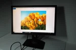 Dell E2210 22" Widescreen Monitor Vga Dvi 1680x1050 T776r 468-7415 E2210f 0ktg0. Fixed Price $119.75.