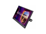 Asus Zenscreen Mb169ck-p 16" Class Full Hd Led Monitor - 16:9 15.6" Viewable. Fixed Price $278.21.