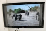 19" Elo Touchsystems Et1919l-8cna-0-zb-gy-g Pos Touchscreen Monitor-no Adapter. Fixed Price $98.94.