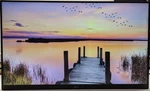 Lg 24ms500-b 24in Lcd Monitor. Fixed Price $65.50.