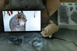 Lg 27" Ultragear Oled Qhd Gaming Monitor 480hz 0.03ms G-sync. Fixed Price $700.00.
