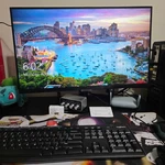 Samsung Business S24a600nwn 24 Inch Widescreen Lcd Monitor. Fixed Price $250.00.