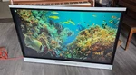 Smart Board Spnl6065 65" 4k Touchscreen Interactive Whiteboard Built In Wifi. Fixed Price $475.99.