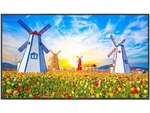 Nec Display 65 Ultra High Definition Professional. Fixed Price $1843.78.