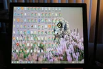 Samsung Syncmaster Monitor 971p Screen Position Can Be Changed To 5-6 Postions!. Fixed Price $235.00.