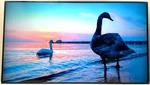 Samsung Qbc 85" Commercial Signage Smart Display 4k 60hz 350nits Lh85qbcebgcxgo. Fixed Price $874.99.