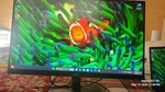 Acer Ka271 27" Led Monitor 1920x1080 Hdmi Dvi-d Vga Flat Screen Black. Fixed Price $45.00.