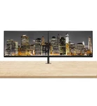 Hp Series 7 Pro 24-inch 724pf Full Hd Lcd Ips Monitor, 2-pack Bundled With Hdmi. Fixed Price $849.00.