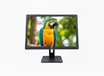 Hp Elitedisplay 22 Inch Led Monitor Hdmi Vga Dp Adjustable Stand Full Hd 1080p. Fixed Price $79.99.