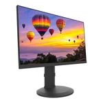 Planar Pzn2410 23.8" 1920x1080 Full Hd 6ms 50hz Lcd Ips Display Monitor. Fixed Price $219.39.