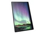 Fsas Technologies Ricoh 150bw 39.6 Cm (15.6") Led Portable Monitor. Fixed Price $682.02.