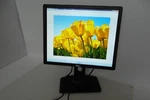 Dell P1913 P1913sb P1913sf Led Monitor 19" Vga Dvi Dp 2-port Usb Hub 39wwp Nwxt6. Fixed Price $69.75.