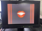 Jvc Dt-v21g11z Monitor With Full. Fixed Price $1780.00.